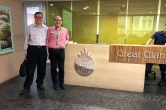 Great Giant Pinaaple